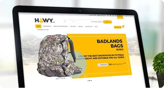 Hawy Case Study